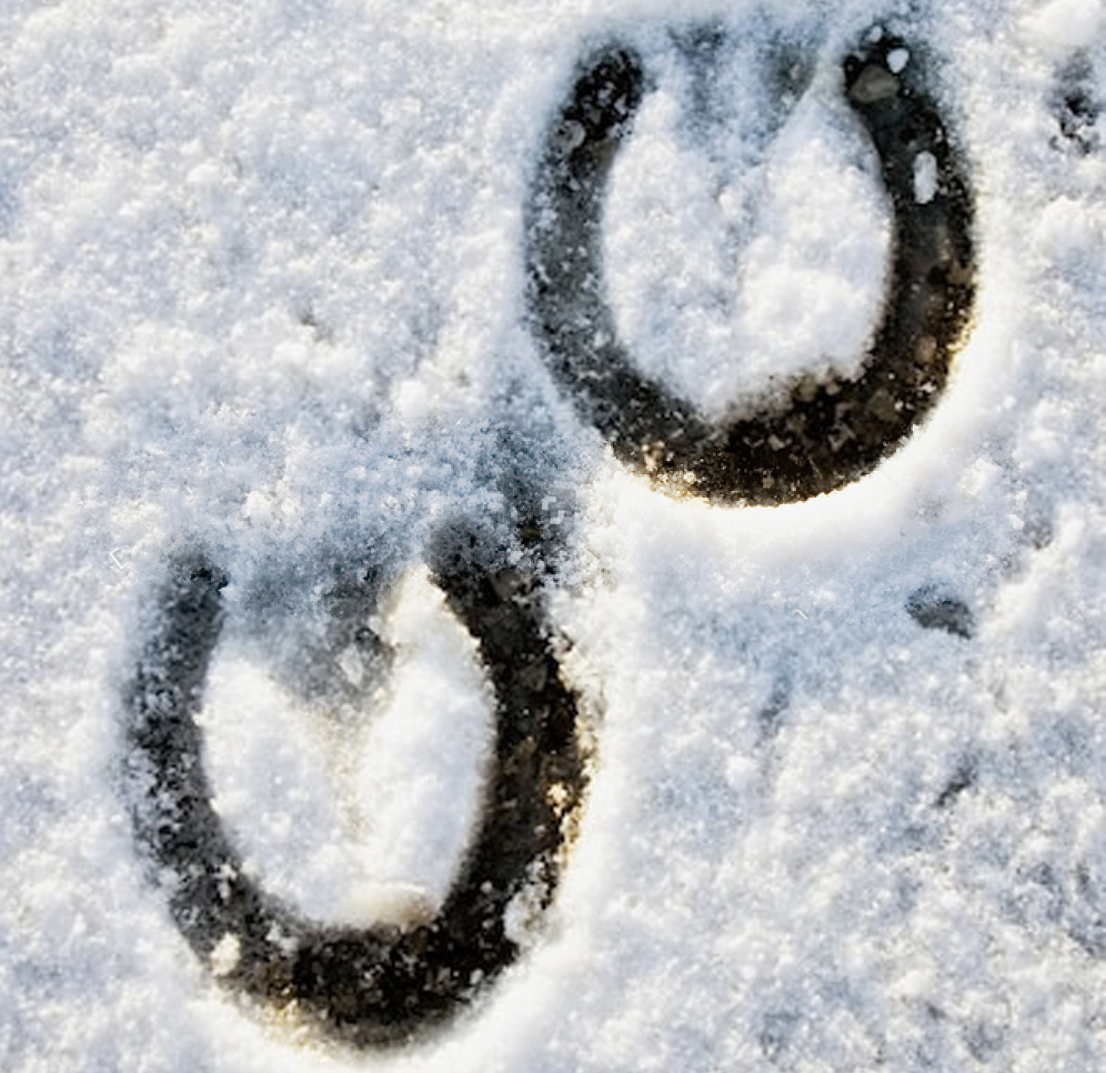 Tips To Keeping Your Horses Feet In Good Condition This Winter