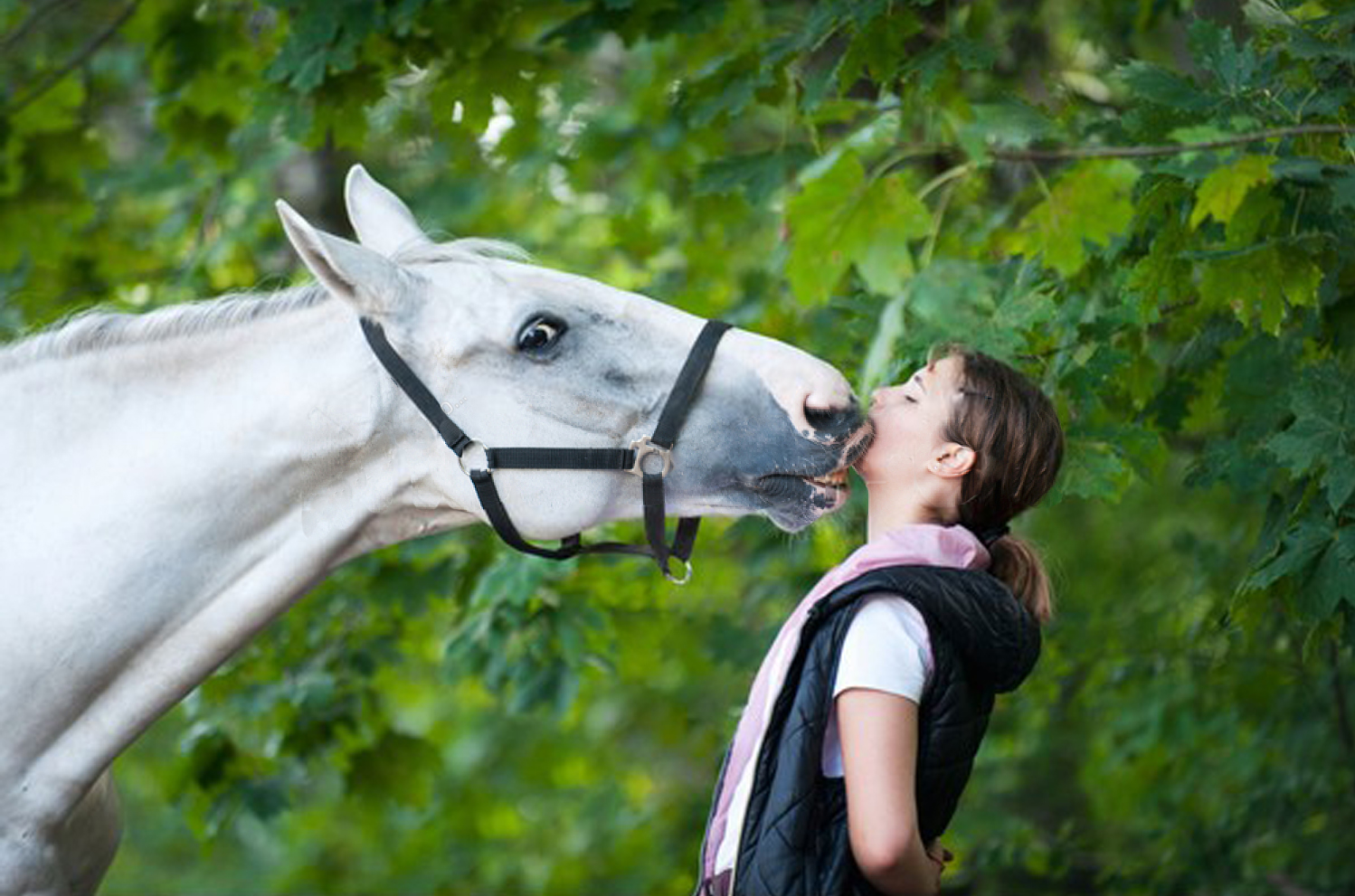 Pushy Horses And The Causes Stargazey's Equine Therapy