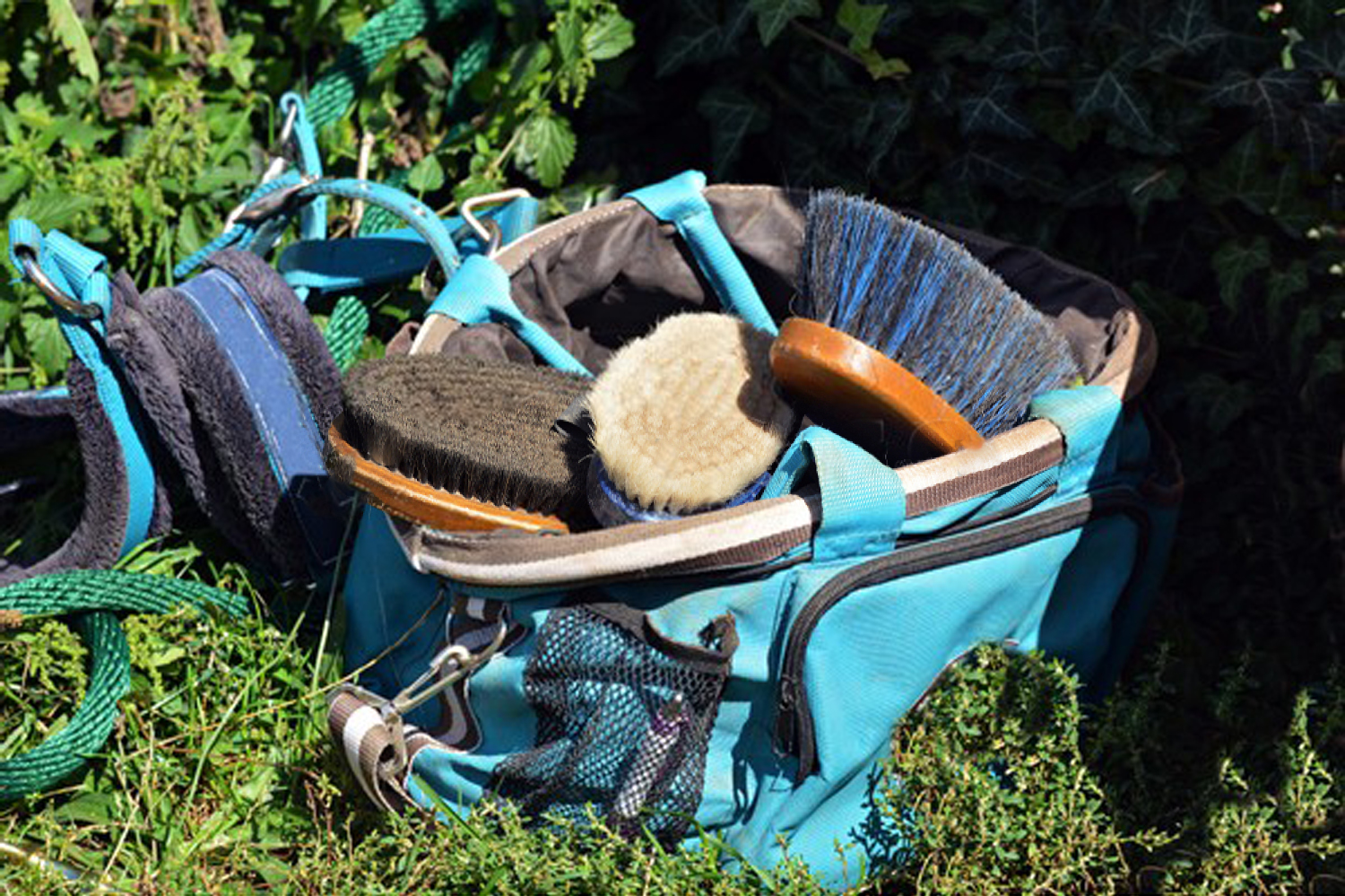 Cleaning Brushes