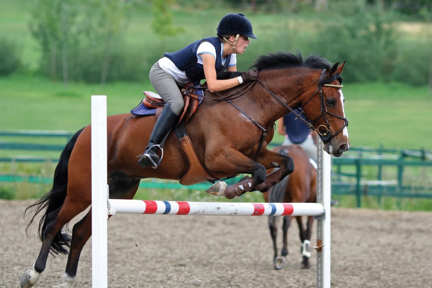 How To Build Your Own Jump Standards Stargazey's Equine Therapy