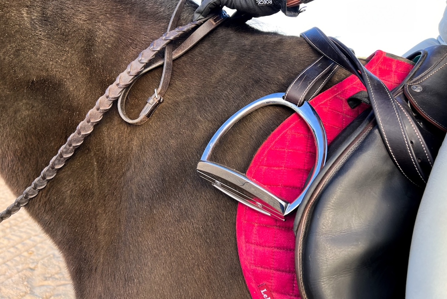 No Stirrup November How Riding Without Stirrups Could Help You