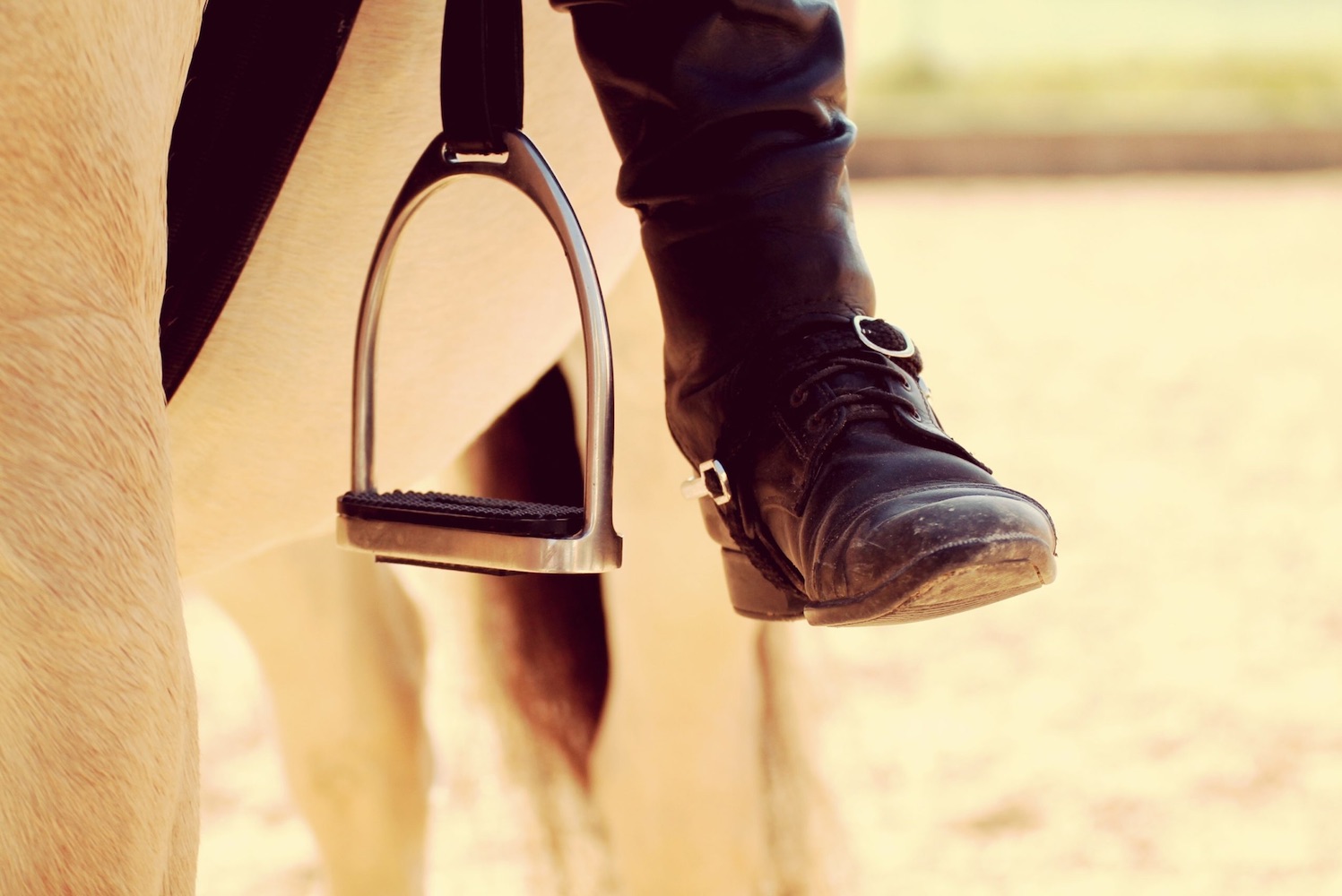 Tips For Riding Without Stirrups Stargazey's Equine Therapy